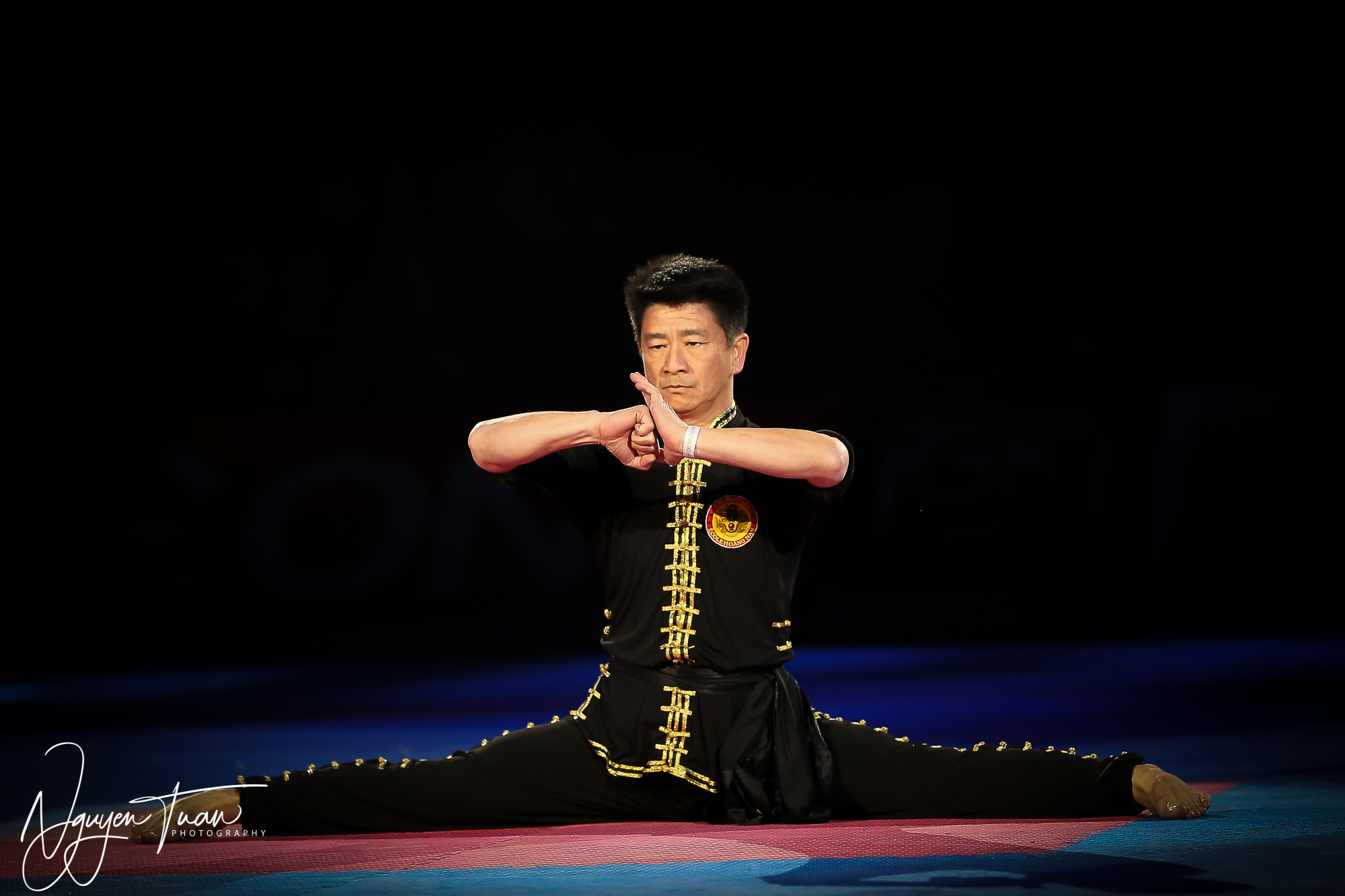 20190324 Festival des Arts Martiaux 5011